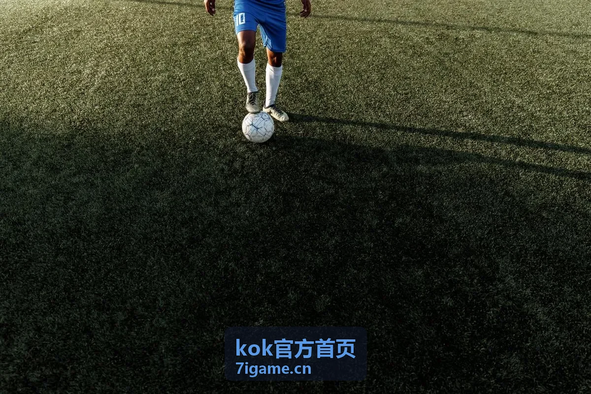 kok官方首页电竞赛事 - 单人竞技